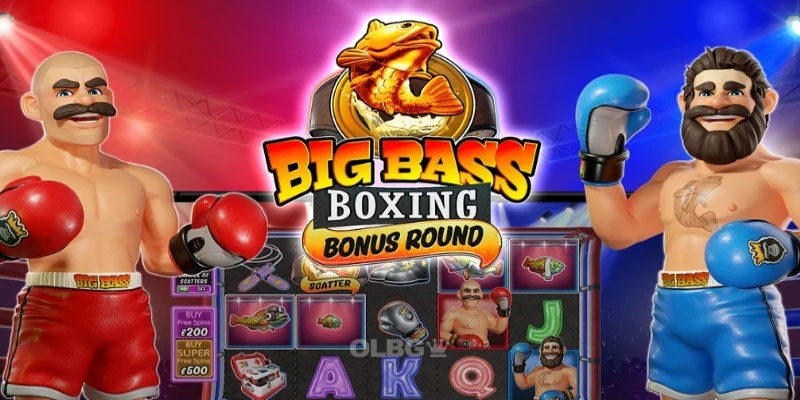 Knockout Wins Await in Big Bass Boxing Bonus Round Slot